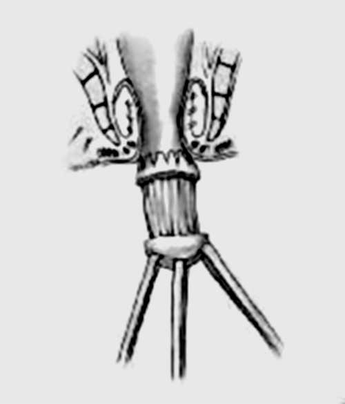 img 3