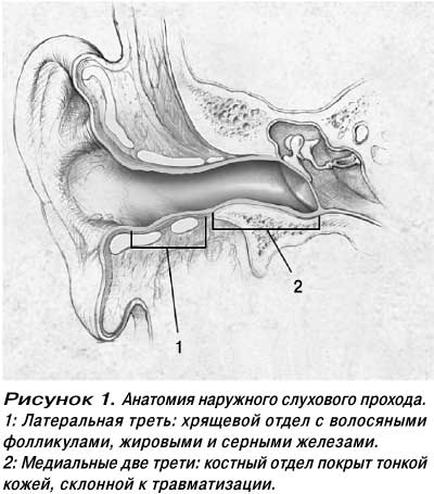 img 1