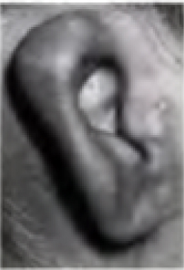 img 12-2